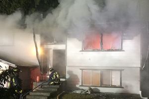 Dogs rescued from Lake Stevens house fire; no one hurt
