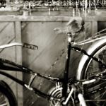 Build your photography skills with hands-on learning