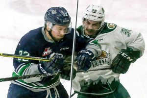 Silvertips defenseman Davis quietly putting together career season