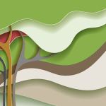 Color of the Year ‘Greenery’ is spring-green hue