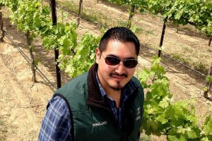 Northwest wine: Delicious whites from 17th platinum judging