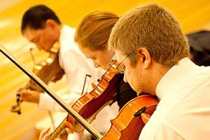 Pacifica Chamber Orchestra to perform sunny concert