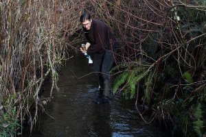 Illegal parking lot highlights silt problems in area streams