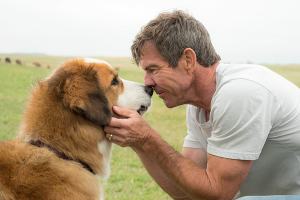 ‘A Dog’s Purpose’: Have tissues at the ready for this tale