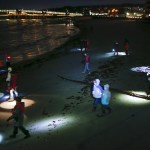 Beach walkers fan out to look for sea life as their flashlights illuminate patches of the Edmonds coastline on Tuesday, Feb. 7. (Ian Terry / The Herald)