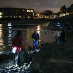 Beach walkers examine a rocky area near the Edmonds fishing pier during a beach walk on Tuesday, Feb. 7. (Ian Terry / The Herald)