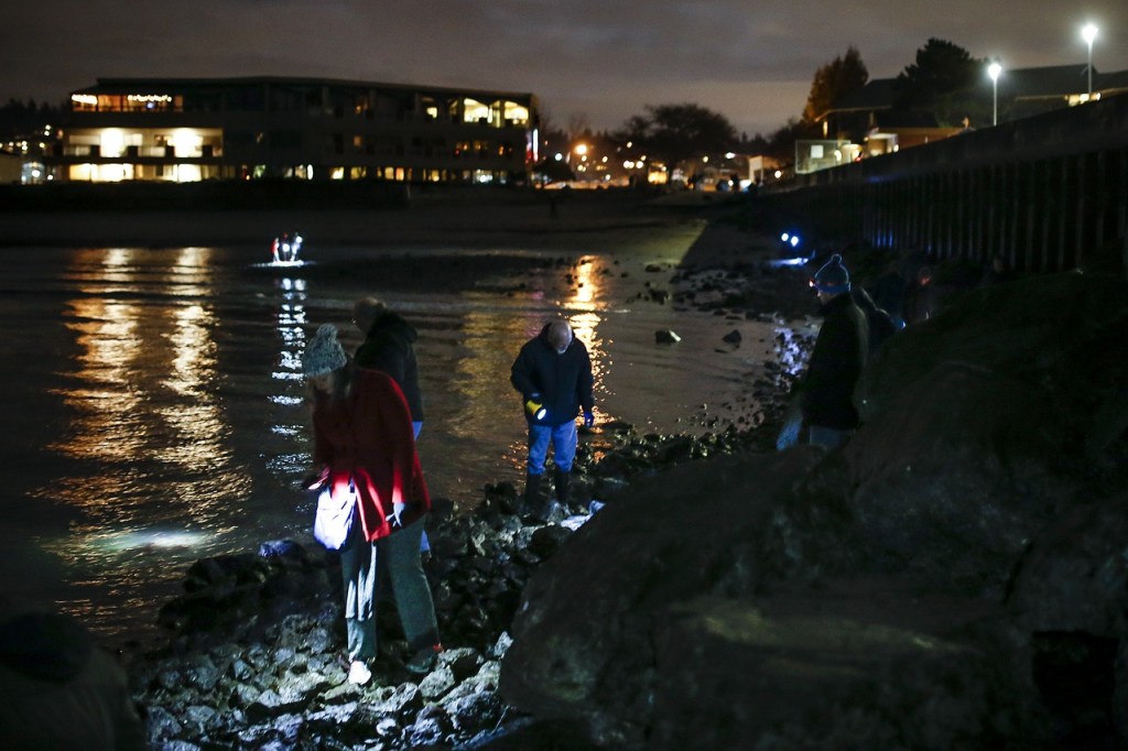 Beach walkers examine a rocky area near the Edmonds fishing pier during a beach walk on Tuesday, Feb. 7. (Ian Terry / The Herald)