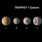 This illustration shows an artist&rsquo;s conception of what the TRAPPIST-1 planetary system may look like, based on available data about their diameters, masses and distances from the host star. The planets circle tightly around a dim dwarf star called Trappist-1, barely the size of Jupiter. Three are in the so-called habitable zone, where liquid water and, possibly life, might exist. The others are right on the doorstep. (NASA/JPL-Caltech via AP)