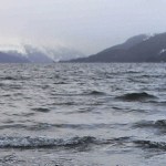 This 2016 photo of the north Pacific Ocean was taken in Whittier, Alaska. (AP Photo/Mark Thiessen, File)