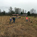 Girl Scout Troop 43044 on Jan. 22, 2017, planted trees in the Stormwater Wetland Park area near Haller Park in Arlington. (Contributed photo)