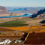 The Columbia River and Highway 243 rings the Wahluke Slope American Viticultural Area to the south and the west. This growing region, which includes the town of Mattawa, is one of the warmest spots in Washington state. (Washington State Wine Commission photo)