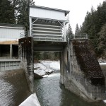 The diversion dam on the Sultan River, photographed Feb. 3, has a new open water channel as well as a gate. (Ian Terry / The Herald)