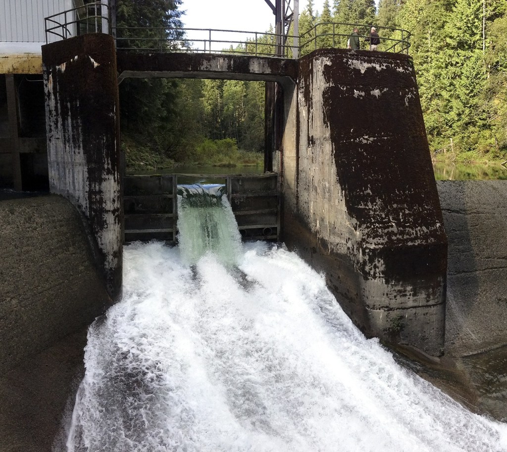 The diversion dam on the Sultan River, before revisions were made to allow fish access to 6 miles of habitat upstream. (Courtesy of the Snohomish County PUD)