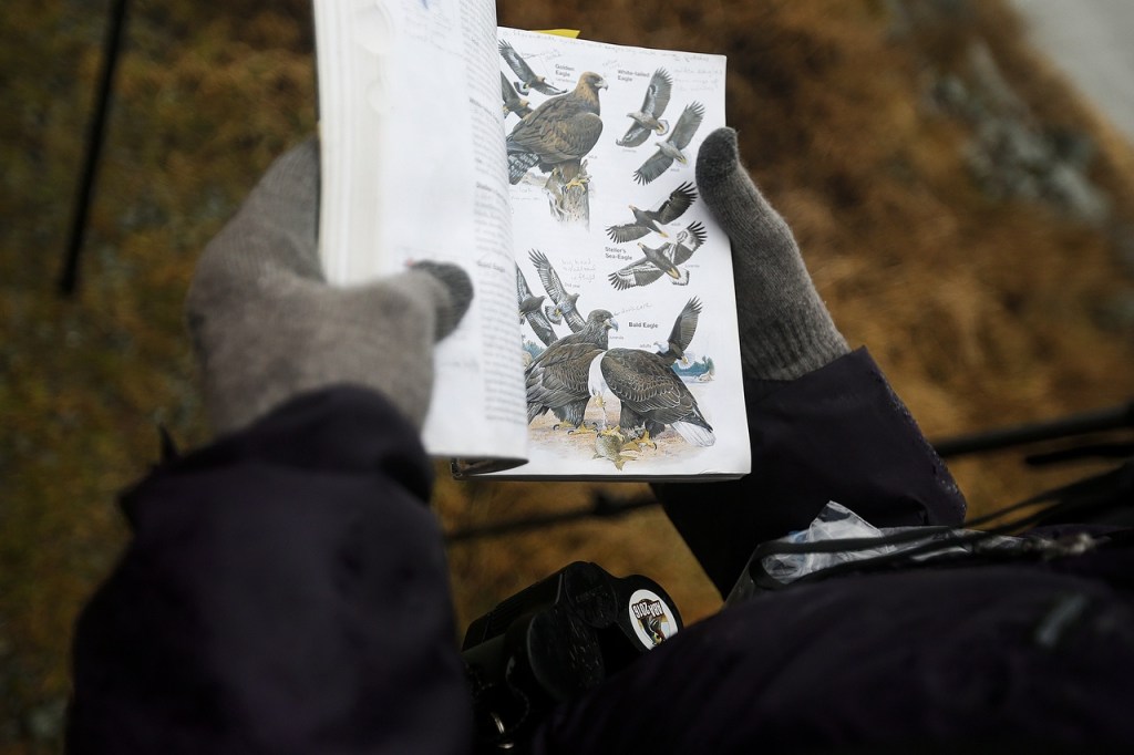 Pam Pritzl, of Camano Island, flips through her bird guidebook while walking along Port Susan Bay near Stanwood during a guided tour by The Nature Conservancy as part of the 10th annual Arlington-Stillaguamish Eagle Festival. (Ian Terry / The Herald)