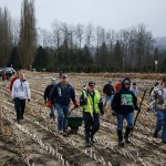 Volunteers walk across a field toward a former homeless encampment off of Niederle Road near Monroe on Saturday. (Ian Terry / The Herald)