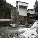 Modifications to the diversion dam on the Sultan River allow for more natural water flow, which makes for better fish spawning grounds. (Ian Terry / The Herald)