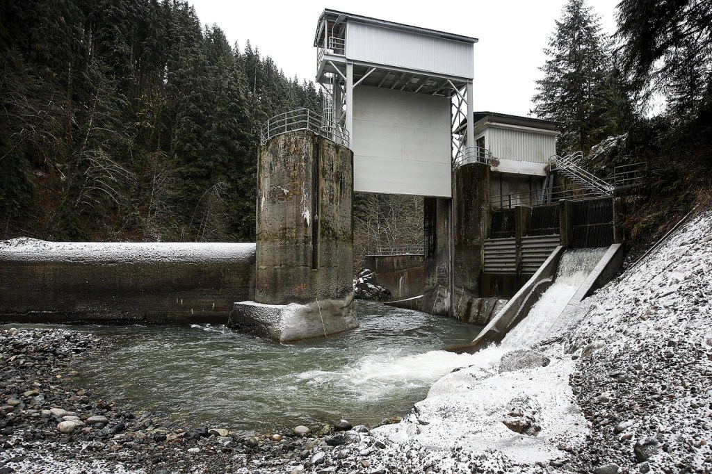 Modifications to the diversion dam on the Sultan River allow for more natural water flow, which makes for better fish spawning grounds. (Ian Terry / The Herald)