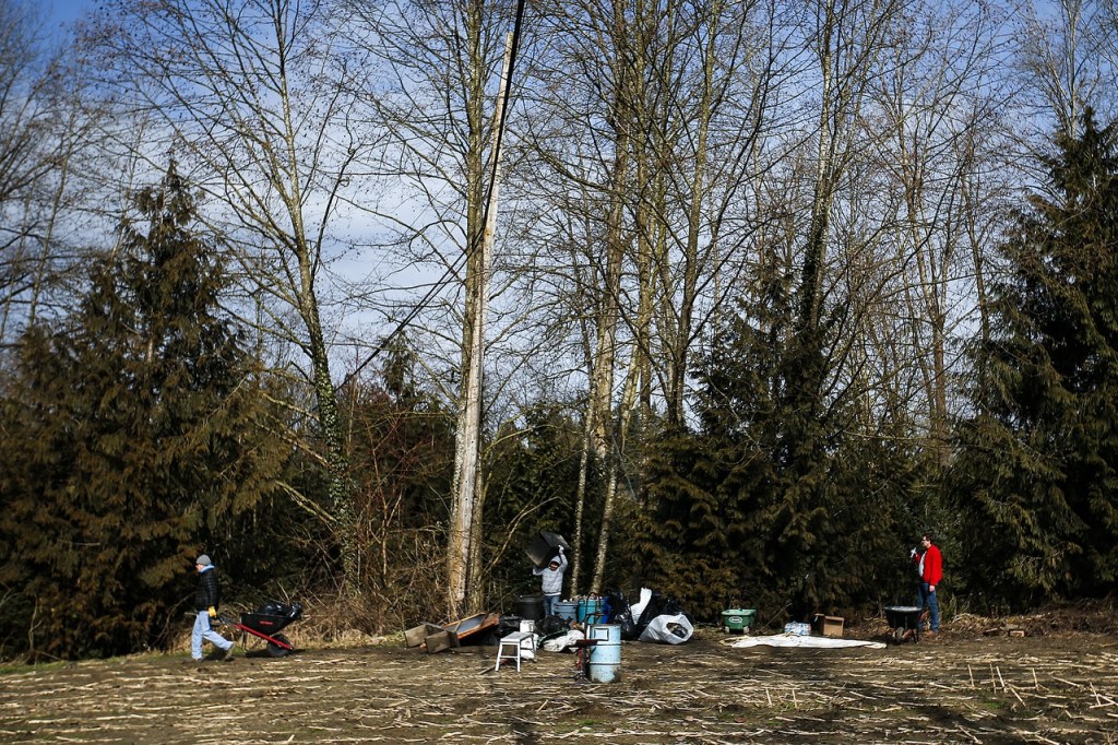Volunteers stack garbage at the edge of a former homeless encampment near Monroe on Saturday, Feb. 25. (Ian Terry / The Herald)