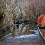 A flooded footpath in the middle of Scriber Lake Park on Thursday, Feb. 16 in Lynnwood. (Daniella Beccaria / The Herald)