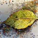 Melinda Peeples&rsquo; &ldquo;Leaf&rdquo; is among the works by the Sky Valley Artists Guild currently displayed at the Arts of Snohomish Gallery.