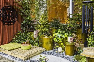 How to Grow a Lot of Food With a Little Space