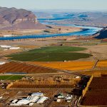 Wahluke Slope forms backbone of Washington wine industry
