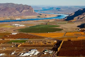 Wahluke Slope forms backbone of Washington wine industry