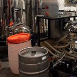 Beer of the Week: This IPA is your new best friend