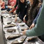 Students passed the time at the Environmental Learning Center doing science and natural history-based games and exercises, including an impromptu lesson in taxidermy. Dead birds from the region are donated to North Cascades Institute, who uses them for educational and interpretive purposes in their science lab. (Joshua Porter / North Cascades Institute)