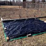 In preparation for a garden expansion, a tarp is spread over a patch of grass for the author&rsquo;s garden. (Barbara Damrosch / for The Washington Post)