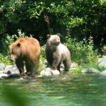 Steve Rochetta / National Park Service