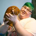 Kristina Francis holds her guinea pig Rusty. Francis recently started Apollo Cavy Sanctuary in Salem, Oregon, and has already found homes for four guinea pigs. (Molly J. Smith /Statesman-Journal via AP)