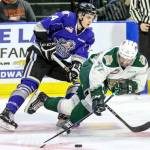Everett&rsquo;s Cal Babych (right) is tripped by Victoria&rsquo;s Eric Florchuk resulting in a penalty during a playoff March 31, 2017, at Xfinity Arena in Everett. (Kevin Clark / The Herald)