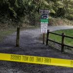 Police tape marks the closure of a trail at Meadowdale Beach Park near Lynnwood after a tree fell on and killed a teenage girl on Friday. (Ian Terry / The Herald)