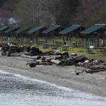 The shoreline of Kayak Point Park (Ian Terry / The Herald)