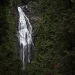 The upper falls is visible through trees at Wallace Falls State Park near Gold Bar. (Ian Terry / The Herald)