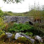 Caher Bridge Garden in Ballyvaughan, Ireland. (Sandra Schumacher photo)