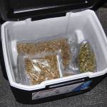 Nearly four pounds of pot were found Tuesday in a cooler donated to the Monroe Goodwill. (Monroe Police Department)