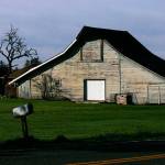 Snohomish County is looking to honor farms that have been owned by the same family for more than a century. (File photo)