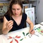 Botanical illustrator Mara Menahan studies the seedpod of a franklinia. Her year-and-a-half stint at the U.S. Botanic Garden gave her a front-row seat to the bizarre theater of floral diversity. (Washington Post photo by Adrian Higgins)