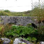 From Glen to Glen: A garden tour of Ireland