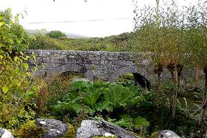 From Glen to Glen: A garden tour of Ireland
