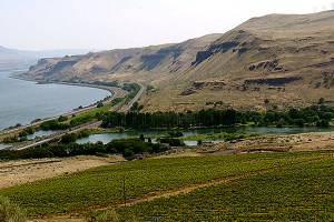 Syrah plays key role in Northwest red blends