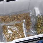 Marijuana donated to Goodwill could be from robberies