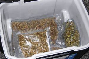 Marijuana donated to Goodwill could be from robberies