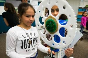 Edmonds students build turbines in renewable energy study