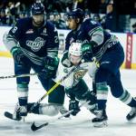 Silvertips surrender late goal, fall to T-birds 3-2 in opener