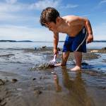 Si Taylor, then 3, splashes and explores the beach, on a July afternoon in 2015 at Howarth Park&rsquo;s beach in Everett while his mom, Ashley Barron, of Everett, and grandmother, Jean Barron of Arlington watch and enjoy the unusually warm day from nearby. (Dan Bates / Herald file photo)