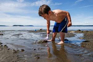 Editorial: Everett beach an example of what could be lost