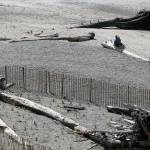 Dredged sand was poured on the beach last year in an attempt to re-create natural habitat. (Andy Bronson / The Herald)